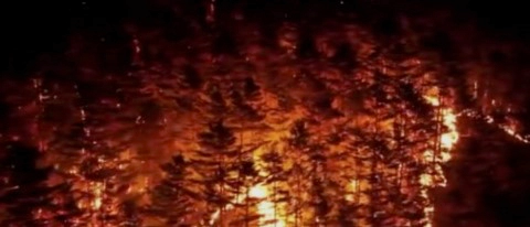 양간지풍 사례 및 대응방안 