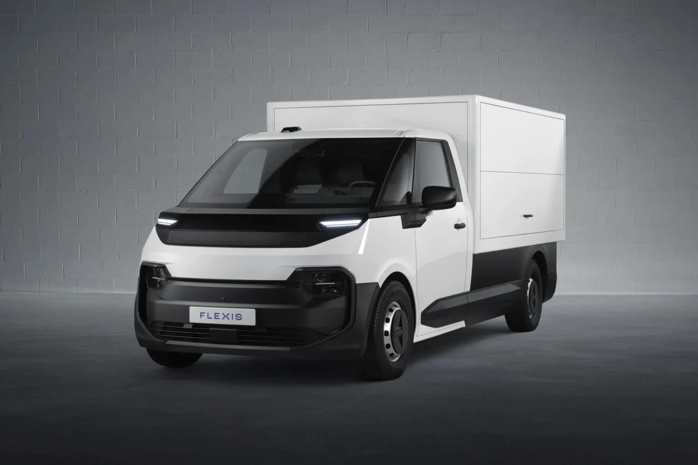 Flexis 전기 밴 카고 밴 모델 정면