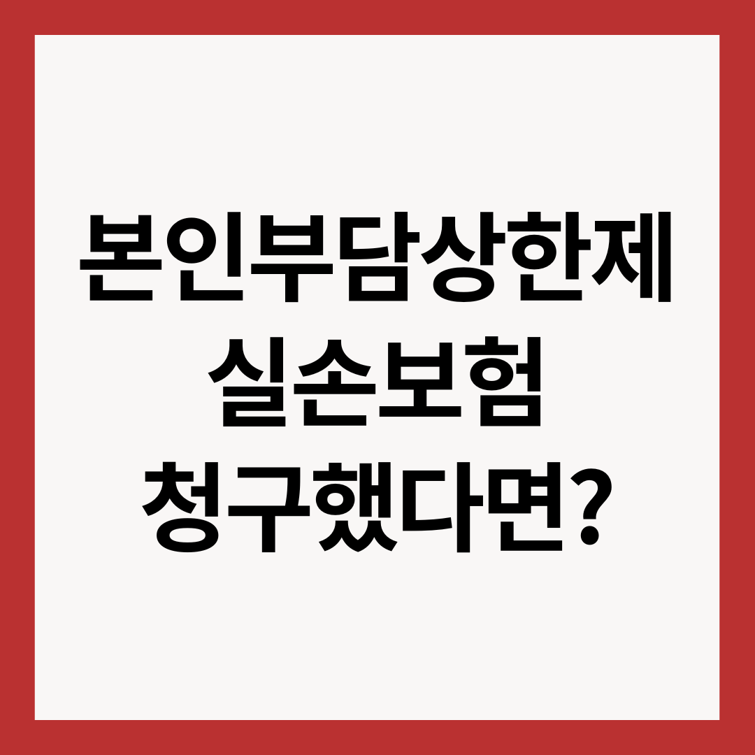 본인부담상한제-실손보험-청구했다면?-썸네일-이미지