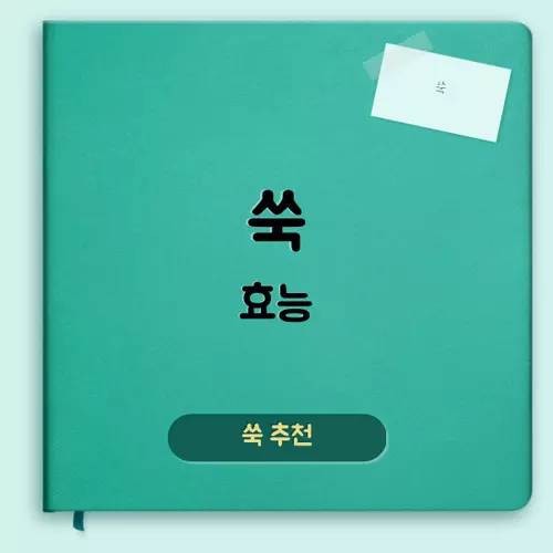 쑥 효능