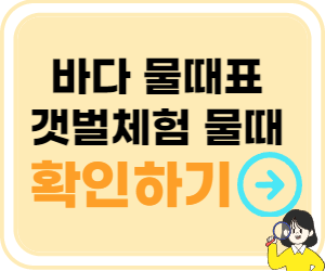 바다타임닷컴 물때 확인 바로가기