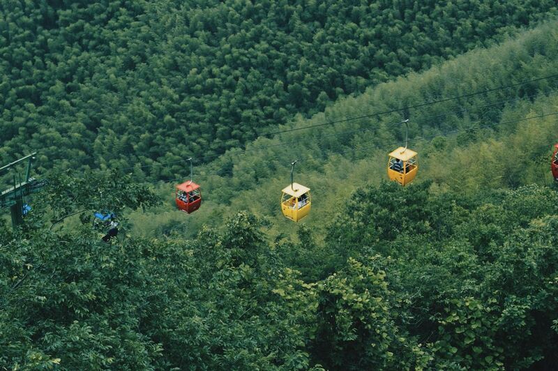 푸르른 대나무 숲 위로 다채로운 색상의 곤돌라 케이블카가 천천히 이동하고 있는 모습, 난징 치샤산의 자연을 색감 있게 표현한 사진