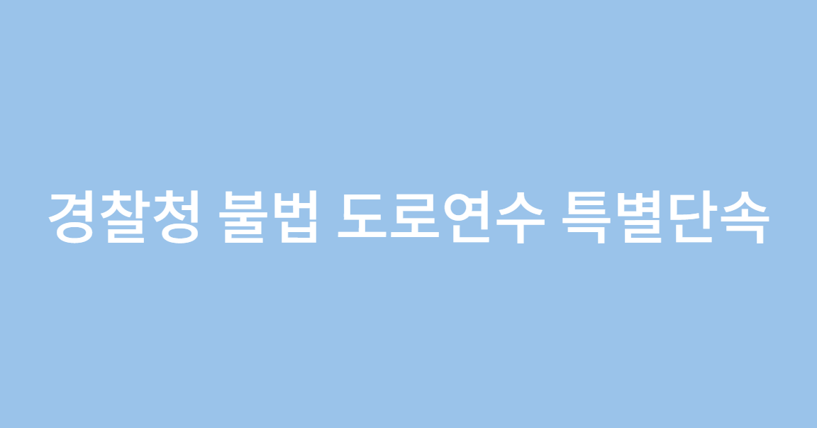 경찰청 불법 도로연수 특별단속 시작