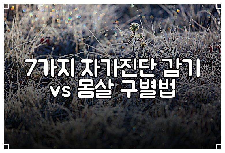 7가지 자가진단 감기 vs 몸살 구별법