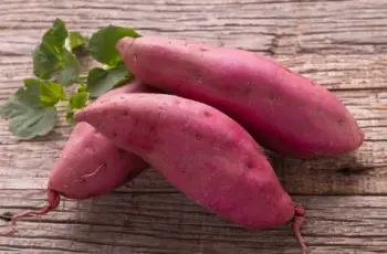 고구마 효능 및 영양성분, 보관방법