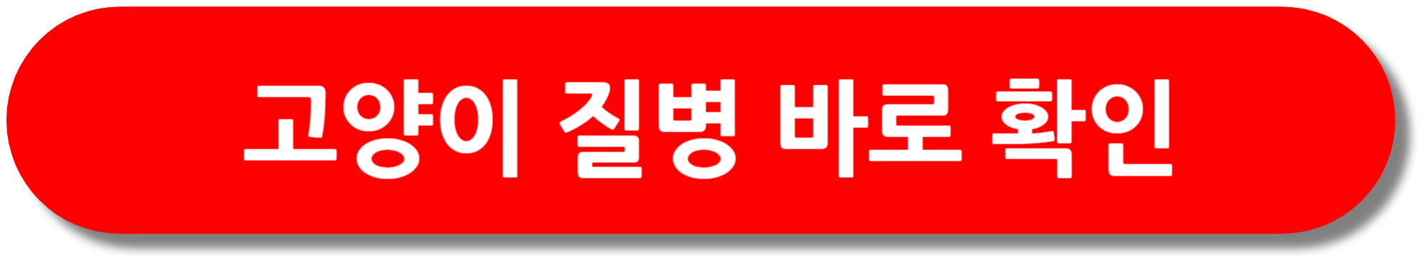 고양이-질병