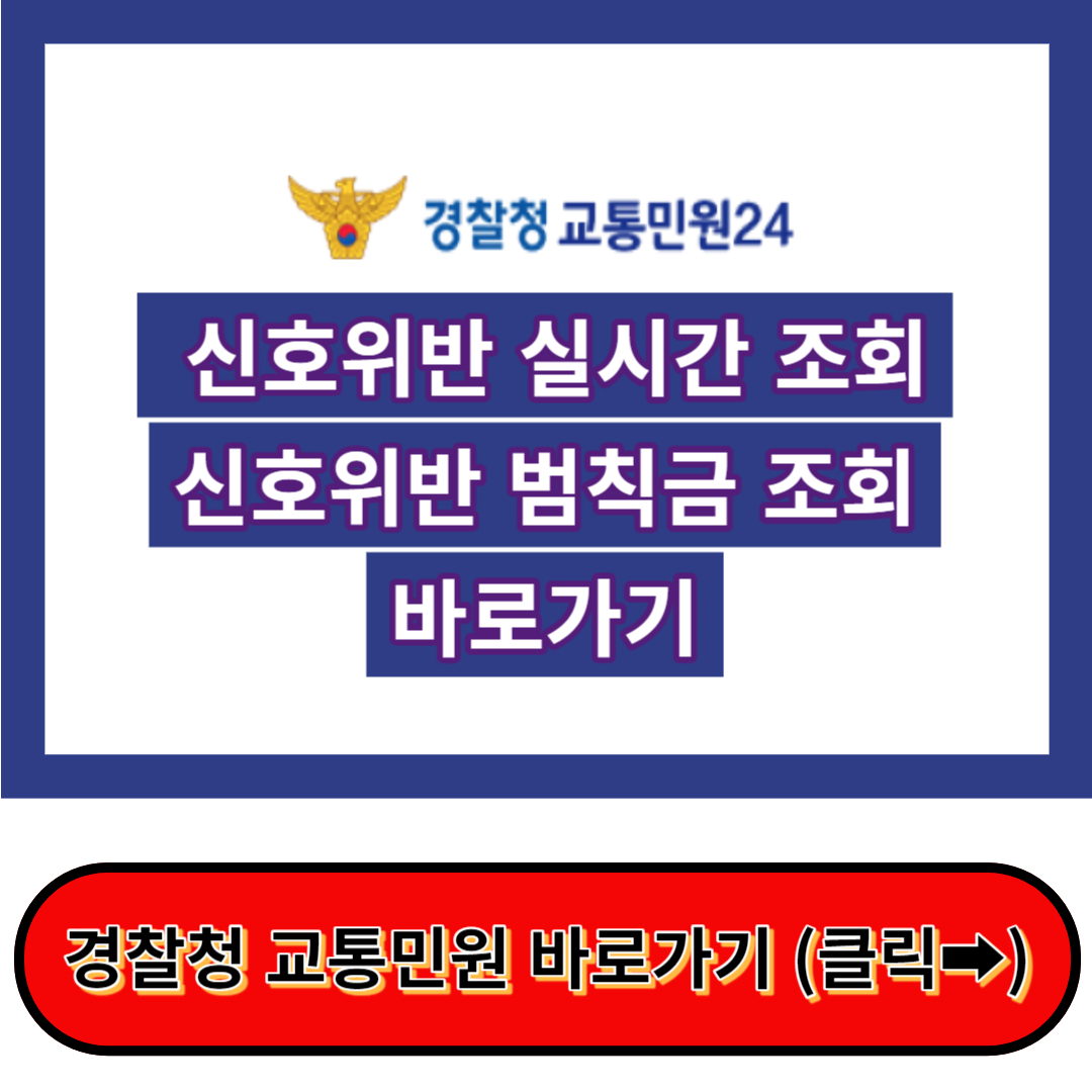 신호위반 실시간 조회, 신호위반 범칙금 - 경찰청이파인 바로가기
