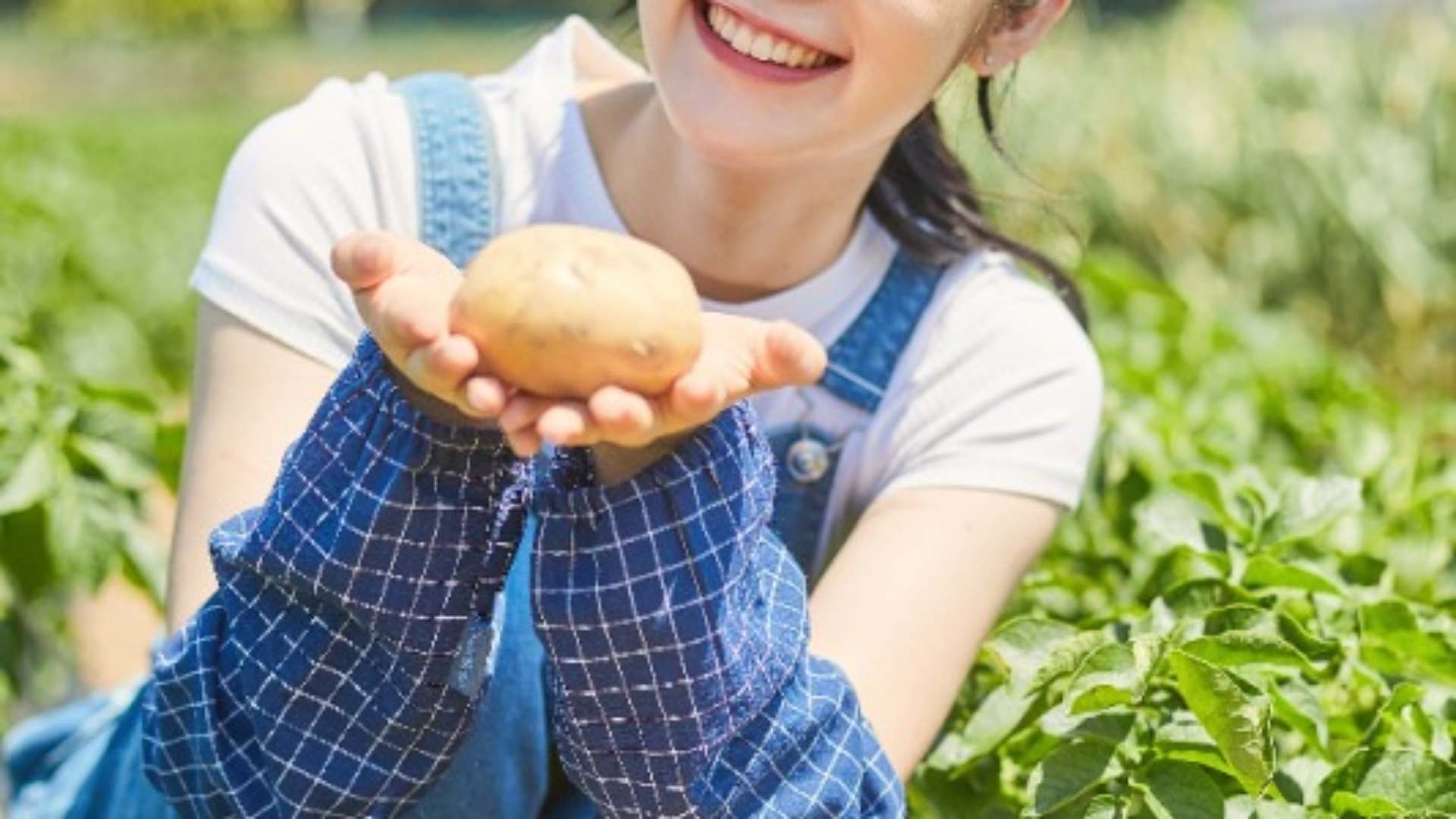 공익직불금 신청 방법 (신청자격, 지급시기)
