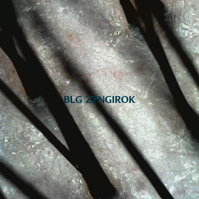 피나모아 복용 19주차 - 뒷머리 두피 모습이다.