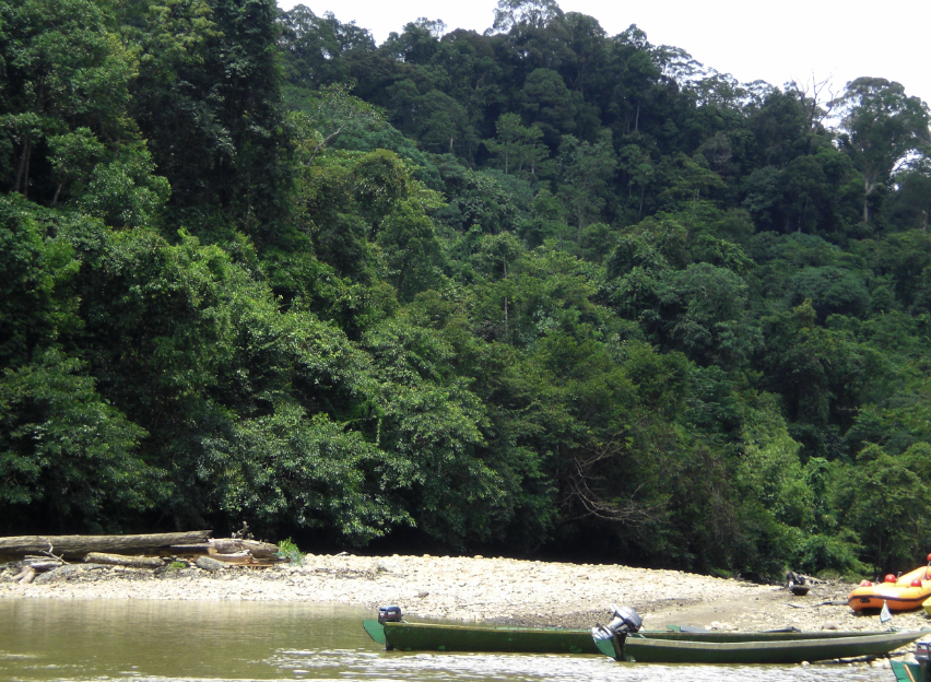 템부릉 국립공원 닥터피쉬 체험하는 곳 이미지