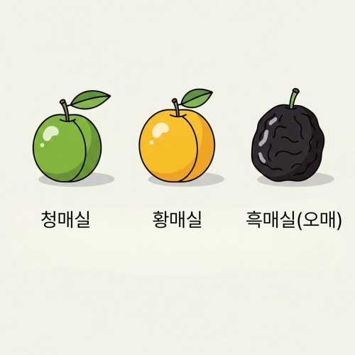 흑매실