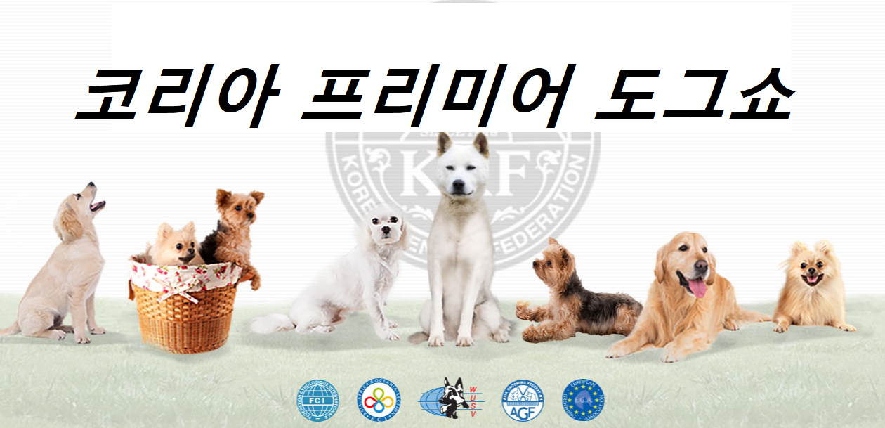 프리미어도그쇼