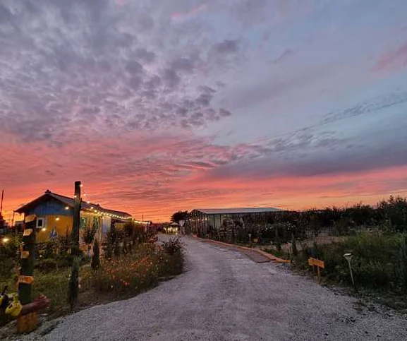 무궁화 치유나라