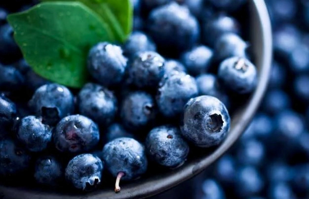 신장 영양제 성분 추천 (성분 주의사항 Tip)