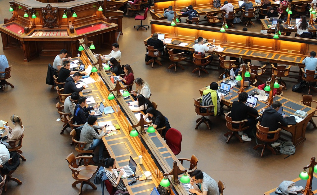 대학교 도서관에서 몰입하여 지식을 쌓아가는 모습