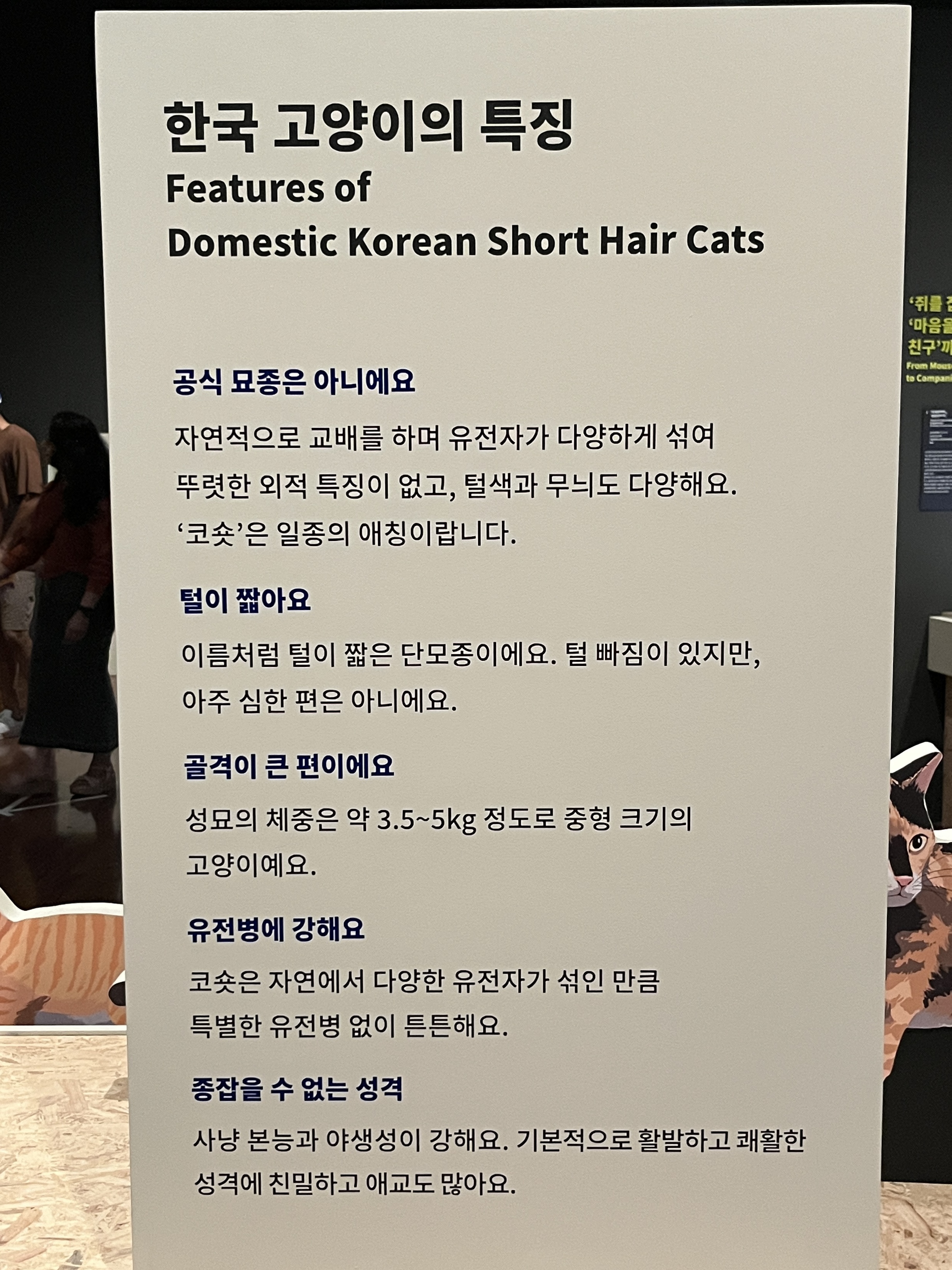 요물 우리를 홀린 고양이