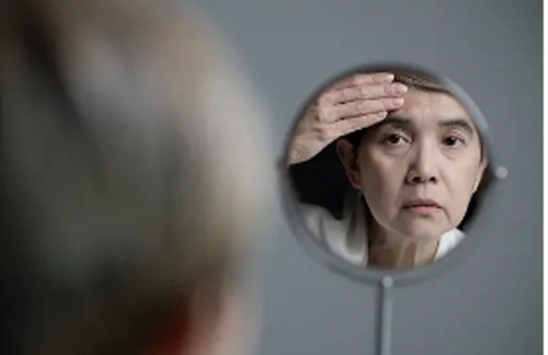 스테비아 방울토마토