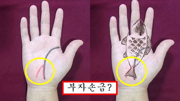 물고기 꼬리 문양 손금