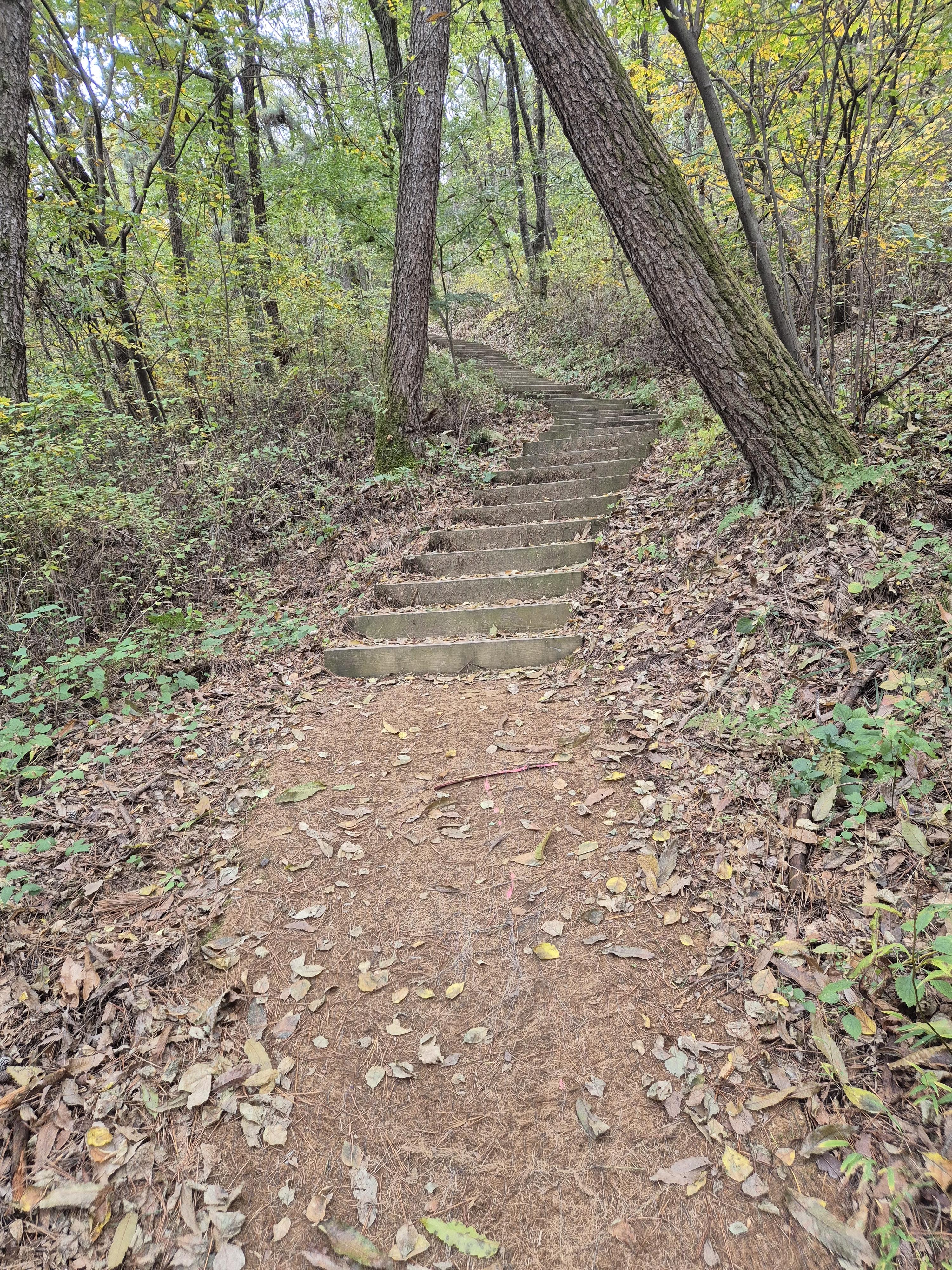 일반인 구봉산 등산계단코스