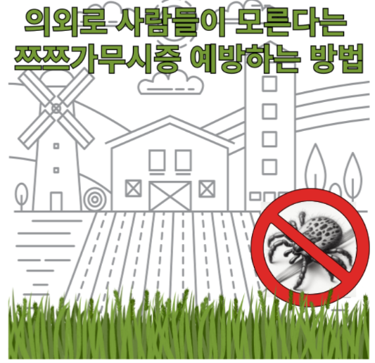 쯔쯔가무시증이란