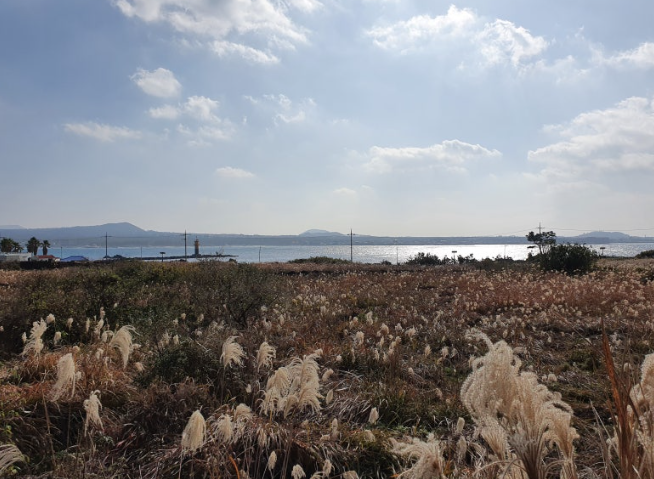 제주도여행