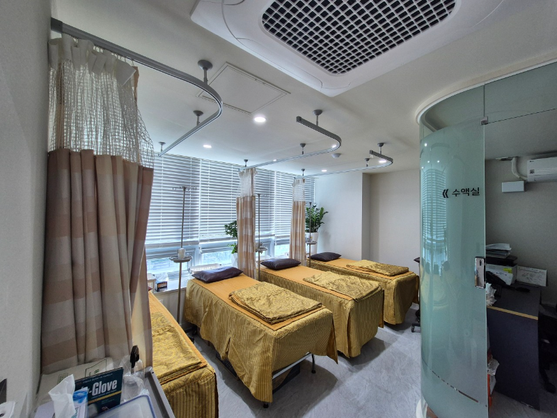 송파구 풍납2동 정형외과 전문의 유명하고 잘하는 곳 추천 TOP 5