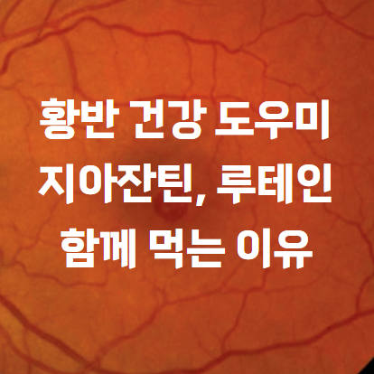 황반 건강 도우미 지아잔틴과 루테인