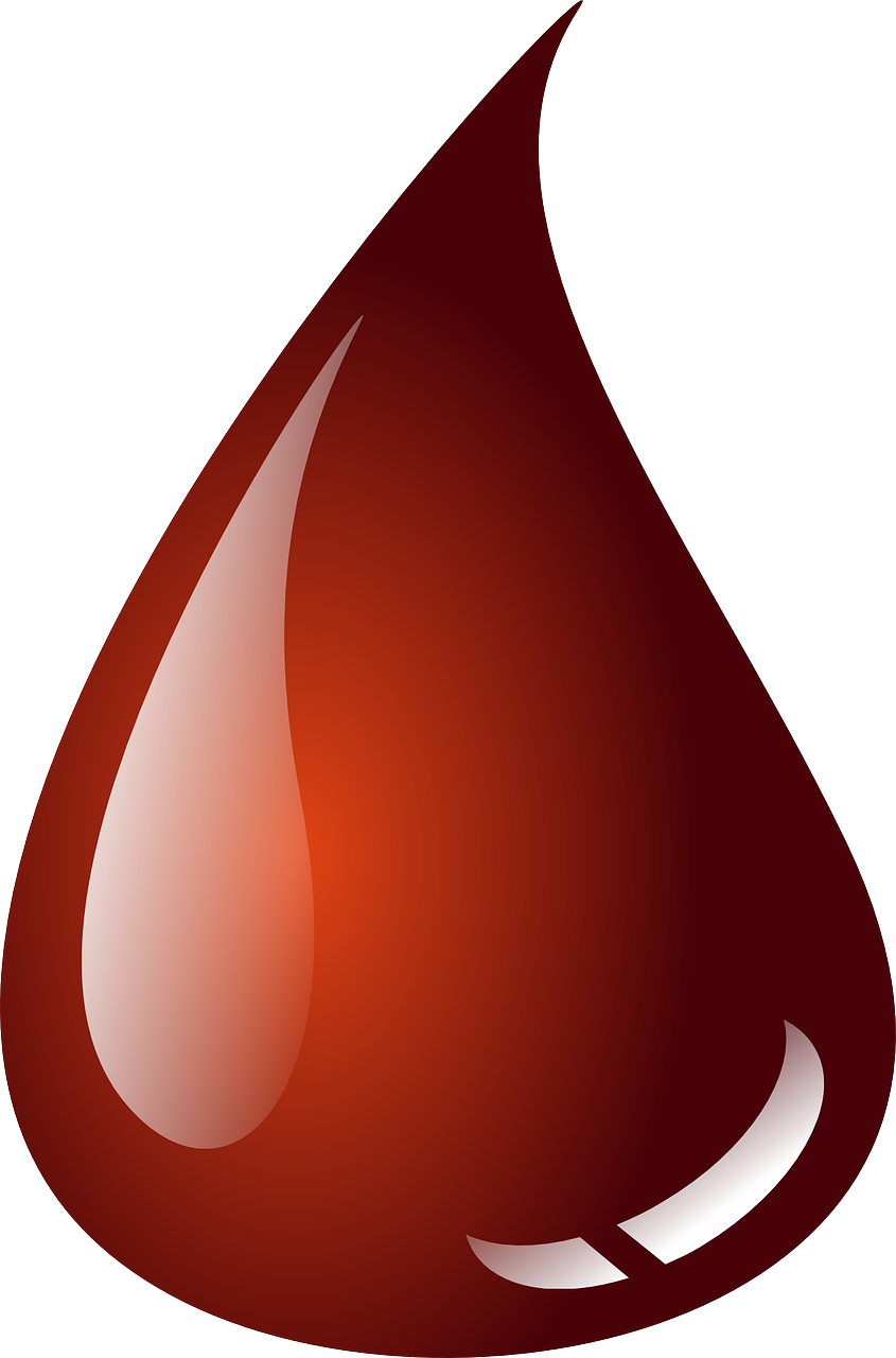 혈애과 관련된 사진