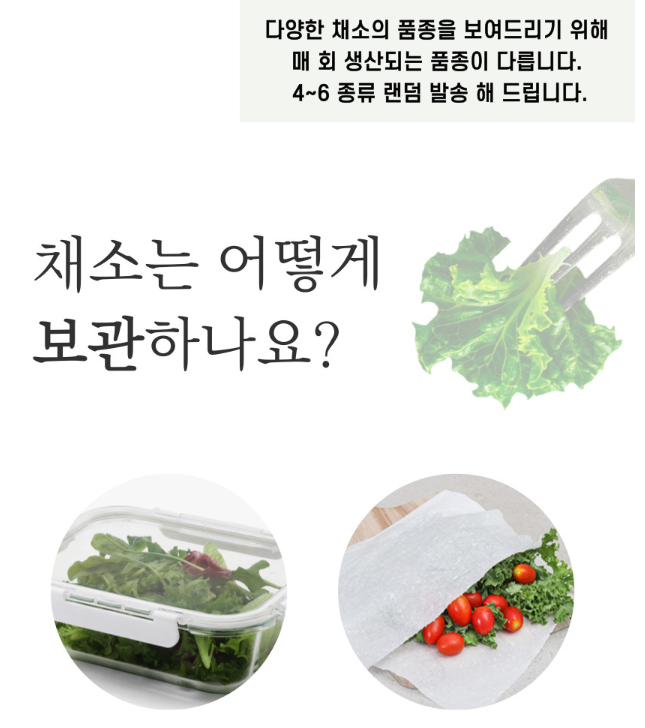 생방송투데이 이주의 장바구니 아쿠아포닉스 16종 유럽 잎채소 구매방법 밀양 플로우팜