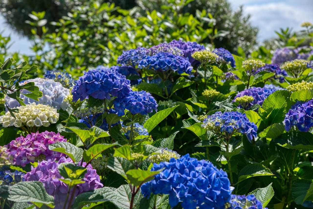 🌿 혼자 떠나는 화담숲 힐링 산책｜조용한 루트 추천