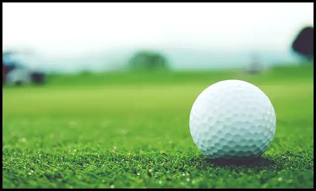 파크골프의 기본자세 (+ 퍼터 )