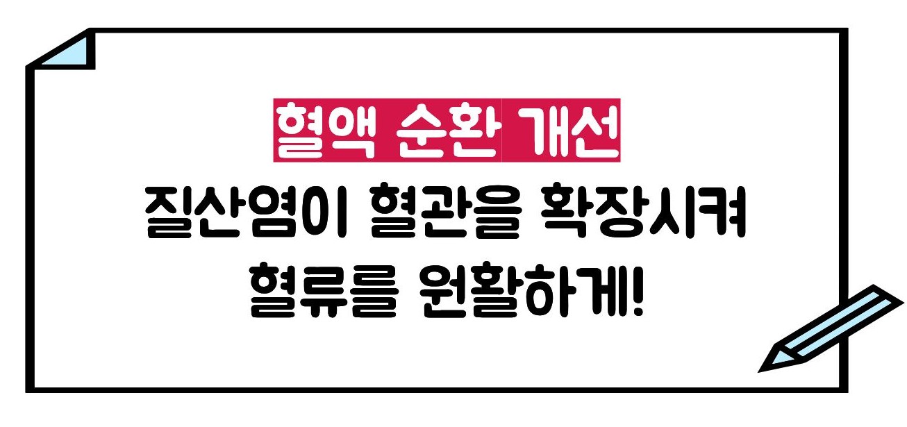 비트 효능