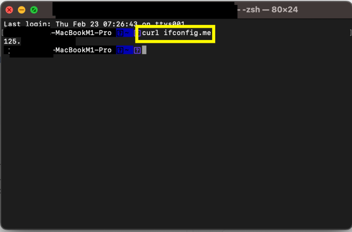 터미널에서 외부 IP 확인