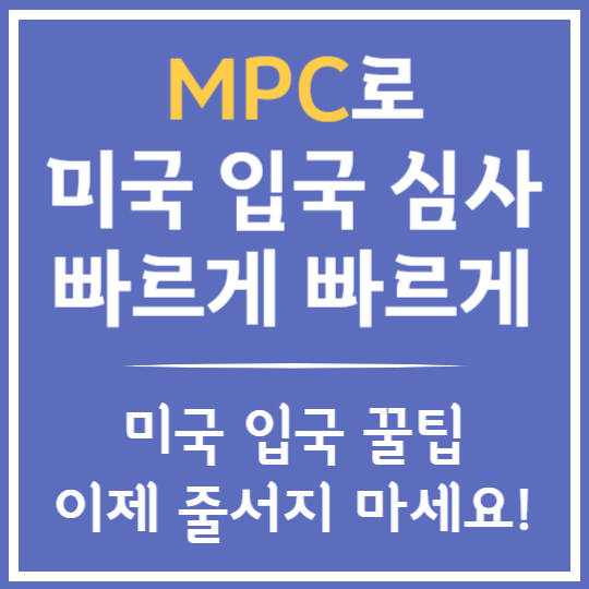 MCP로 미국 입국 심사 줄없이 빠르게!