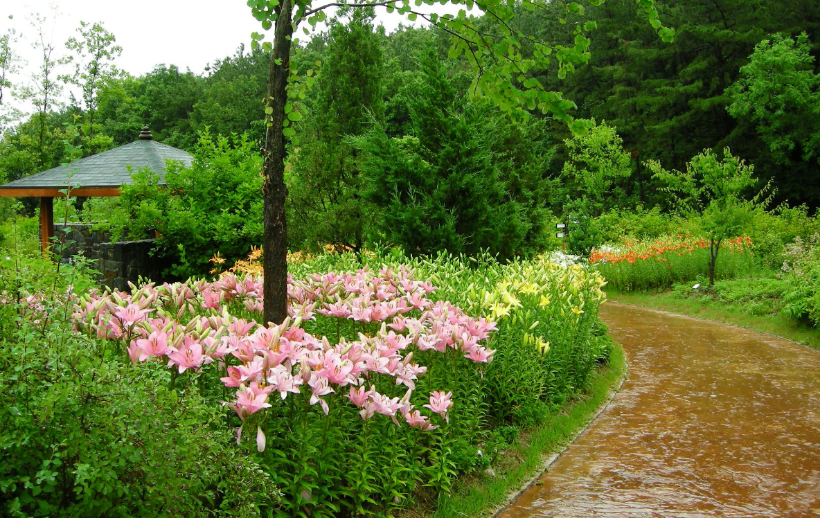 황학산수목원 풀향기정원