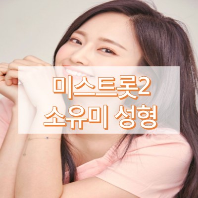 소유미 성형