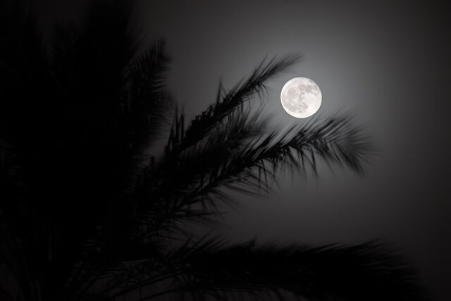 디지털 미니멀리즘