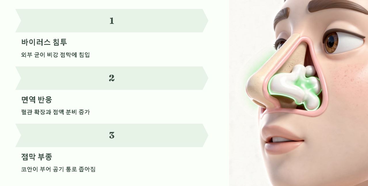 코막힘 원인 알아보기