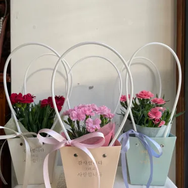 카네이션 화분 키우는 방법 생화 꽃바구니 관리_4