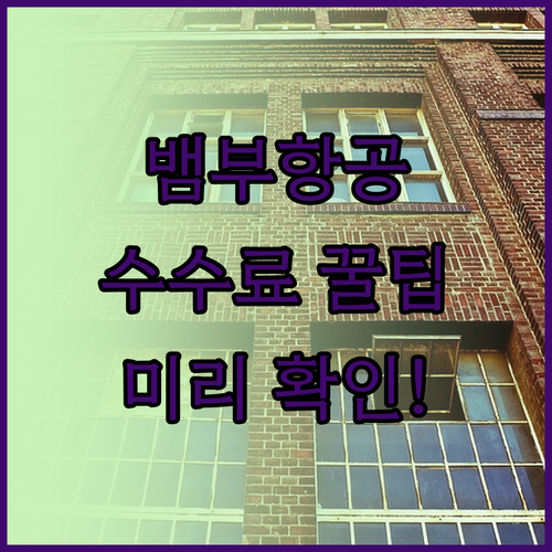 뱀부항공 항공권 취소 수수료 미리 확..