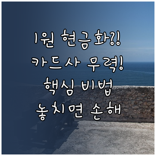 카드사별 환급 기준 무력화 1원 현금..