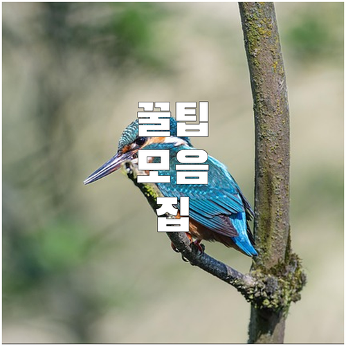 자동차 검사, 시간 절약 노하우: 운..