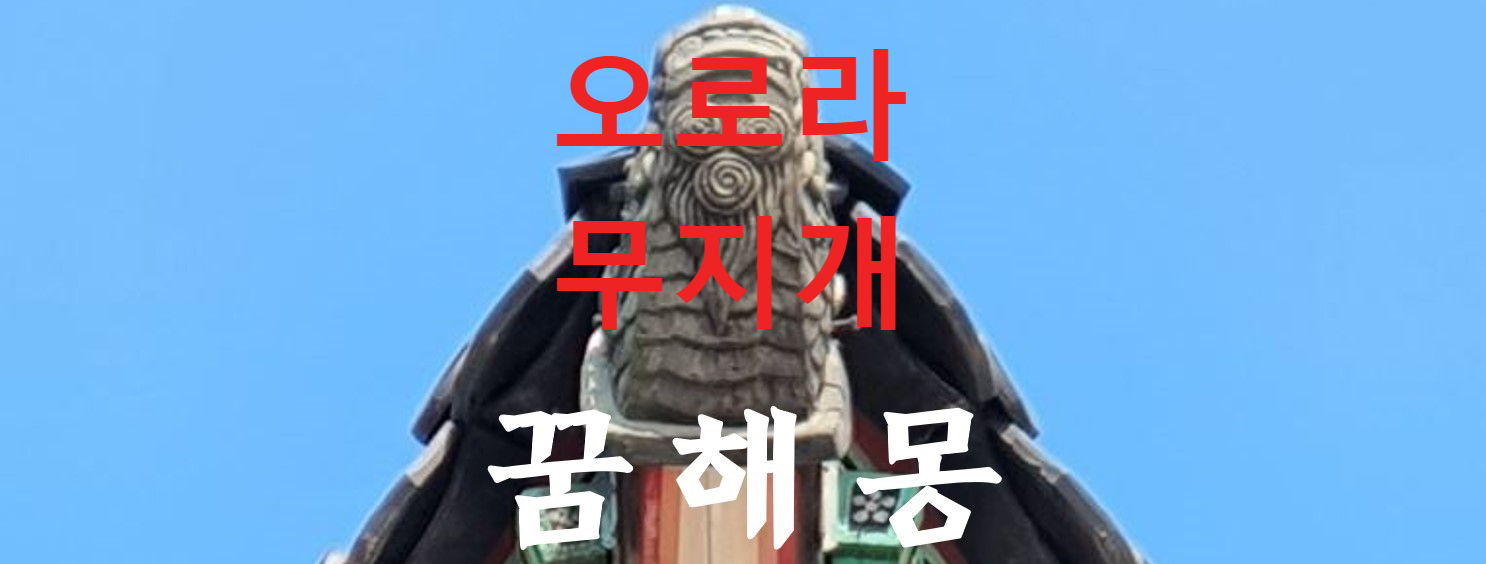꿈해몽