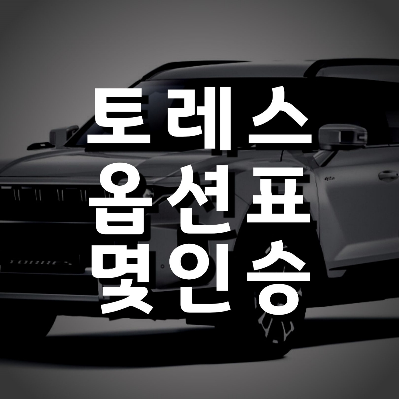 토레스 옵션표 몇인승 1