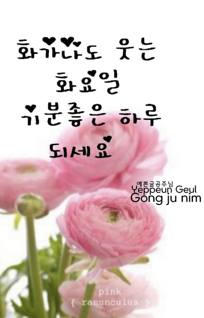 화요일 아침인사말