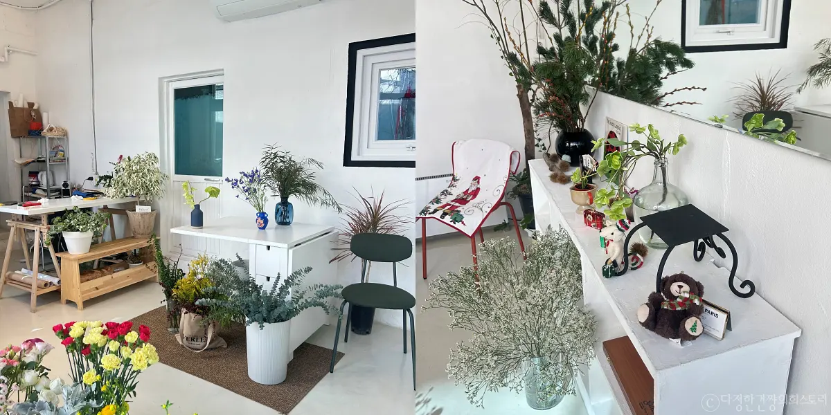 대구-중구-삼덕동-신상-꽃집-추천-코브-파리