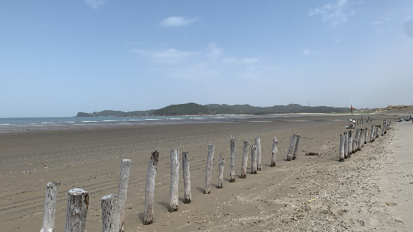 신두리 해안 사구앞 모래해변