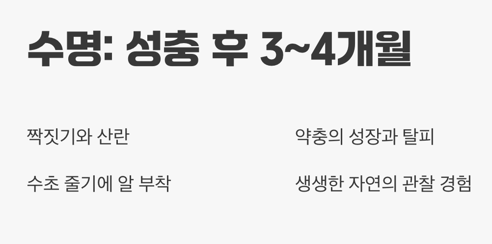 5. 짧은 생의 동반자, 관찰의 즐거움