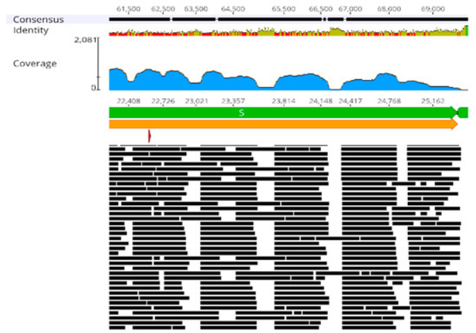 코로나19 유전자 분석과 실험실 유출 논란 관련 이미지