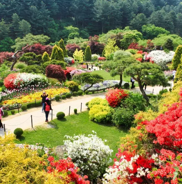 아침고요수목원-입장료-운영시간-관람안내